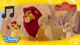 Aslan Koruyucular I Kral Simba Şarkısı 🎶 I Disney Channel Türkiye [upl. by Cassiani]