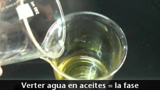 Como hacer una crema casera Cosmetica Natural Casera Shop [upl. by Doralynne]