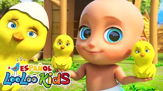 🐤🐥Los Pollitos Dicen Pio Pio  S7EP16 Aventuras Musicales MIX  LooLoo Kids Español [upl. by Aytnahs]