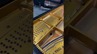 Steinway amp sons B rebuilding shortvideo shots viralvideo video violin america repair new [upl. by Inaffyt]