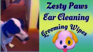 Zesty Paw Ear Cleaning Grooming Wipes for dogs 🐶 [upl. by Hammer]