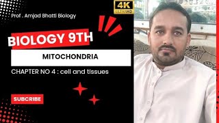 9th class biology chapter 4 Mitochondria [upl. by Hulbert]