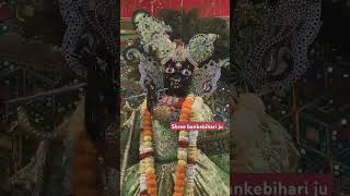 radhegovind radheshyam [upl. by Ear]