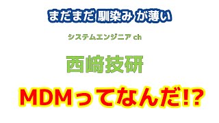 【SE必見】MDMってなんだ？みんなもっとMDMを知ろうぜ！ついでにモバイルアイアンも！ [upl. by Shirleen]