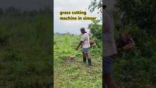 Grass cutting in simsar nepal [upl. by Bartel]