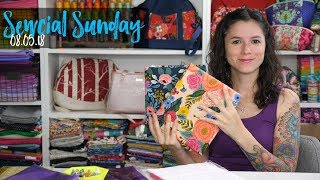 Sewcial Sunday  How to Add a Divider to a Bag [upl. by Anairt]