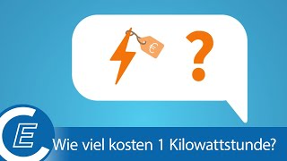 EControl erklärt Wie viel kostet 1 kWh Strom [upl. by Brianne]