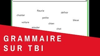 15 Exercice de grammaire sur tableau interactif [upl. by Rush497]