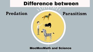 Difference between Predation and Parasitism [upl. by Luar]