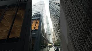 NYC  Downtown  Financial District [upl. by Turnheim171]