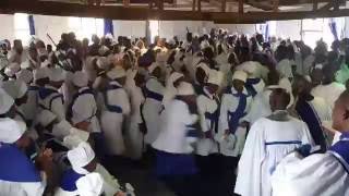 The Christian Catholic Apostolic Church in Zion CCAC  Yombel uHosana [upl. by Bradway]