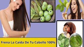 Frena La Caída De Tu Cabello 100 Y Acelera El Crecimiento Con Este Tónico De Hojas De Guayaba [upl. by Areema]