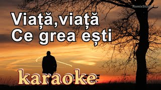 Karaoke  Viata viata ce grea esti  Versuri  Negativ [upl. by Elahcim]