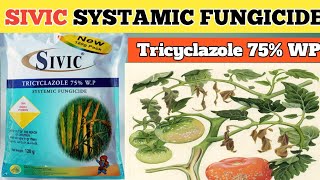 SIVIC SYSTAMIC FUNGICIDE  sivic fungicide  Tricyclazole 75 WP [upl. by Enitsed]