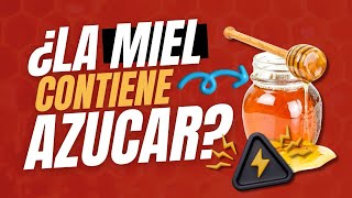 ¿Qué es el ÍNDICE GLUCEMICO ¿Cuáll es el ÍNDICE de la MIEL [upl. by Frymire825]