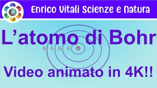 LATOMO DI BOHR Video con simulazioni animate in 4K UNICO [upl. by Krahmer934]