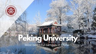 Peking University  Most beautiful campus in China [upl. by Damha]