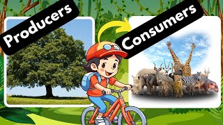 Producers and Consumers Herbivores Carnivores and Omnivores [upl. by Anilatac281]