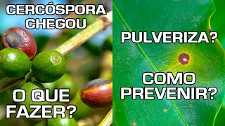 Cercóspora Chegou O que Fazer Pulveriza Como Prevenir  No Pé do Café [upl. by Baler719]