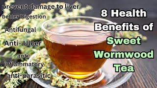 Unlocking the Power of Sweet Wormwood Tea 8 Health Benefits Revealed [upl. by Weismann]