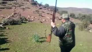 Chasse de Sanglier au maroc  wild boar hunting in morocco 2015 [upl. by Currie]