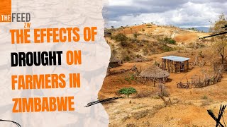 The Effects Of Drought On Farmers In Zimbabwe  Mini Documentary [upl. by Ricarda697]