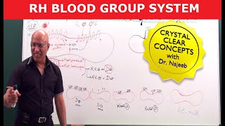 Rh Blood Group System  Dr Najeeb [upl. by Oine]