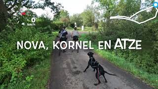 Bikejöringtraining met Nova Kornel en Atze [upl. by Lusar]