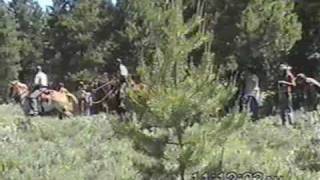 Colorado Rainbow Gathering Road block 2006 [upl. by Larimer62]