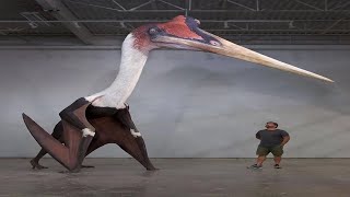 Amazing Facts About the Giant Pterosaur Quetzalcoatlus [upl. by Aciemaj950]