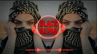 New Arabic Remix  Bass Boosted 2024 Remix  slowedreverb Arabic Music 2024 [upl. by Jannelle335]