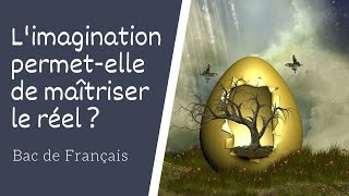 Limagination permet elle de maîtriser le réel [upl. by Gizela453]