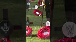 Fields of remembrance honour the fallen [upl. by Ainegue]