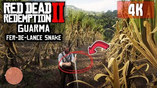 ► RDR2  FerdeLance snake location on GUARMA  4K RTX 3080Ti ULTRA [upl. by Edouard122]