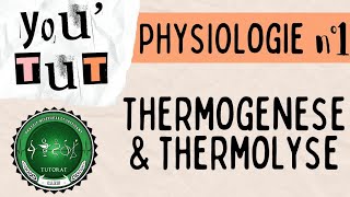 📚YOUTUT📚  PHYSIOLOGIE  LA THERMOGENESE ET LA THERMOLYSE [upl. by Gravante]