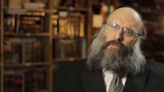 Rav Mosheh Twersky ztl Hyd Memorial Video [upl. by Thia111]