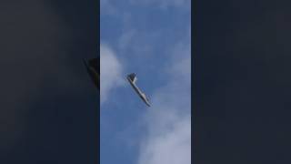 Epic “Falling Leaf” F22 Raptor subscribe military aviation [upl. by Venetis]