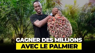 Garantir sa retraite avec le palmier a huile [upl. by Alracal]