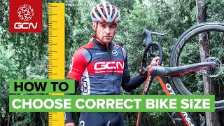 How to Choose The Correct Bike Size [upl. by Annabel]