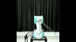 Robot pendulum control using Matsuoka neural oscillator [upl. by Kannry]