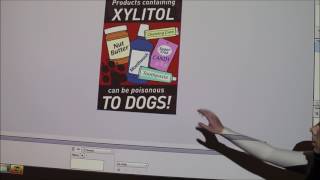 Lecture 6Principles of Toxicology and Antifreeze Chocolate Xylitol [upl. by Eetse]