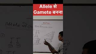 Allele से Gamete बननाvarl sorts NCERT physics Our study room Udayrajsir17 [upl. by Cordelie]