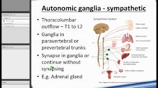 Sensory Ganglia vs Autonomic Ganglia  Roji Khatiwada Sheldrake Taylor Harry [upl. by Veno]