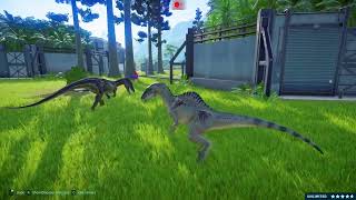 Barryonix VS Triceratops Vs Concavenator  Evolution Jurassic World Dominion  King Tyrannosaurus [upl. by Nortad]