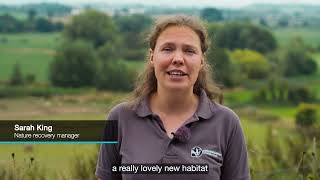 Oak Tree Farm Nature Reserve in Lugg Valley officially opens [upl. by Jemine]