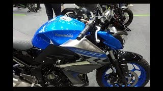 2018 Kawasaki Z300  Blue [upl. by Noloc388]