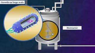 Recombinant DNA Technology  Animated Video [upl. by Ayifas]