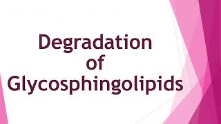 Metabolism of Lipids amp Fatty Acids  2nd Year MBBS  Lecture 10 [upl. by Rainer]