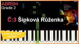 Sipkova Ruzenka  C3 ABRSM 2025 amp 2026 Grade 2 piano  TUTORIAL  slow practice [upl. by Atirabrab325]