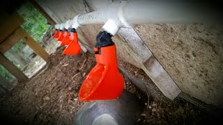 Automatic Chicken Waterer  NO ELECTRICITY NEEDED [upl. by Piks]